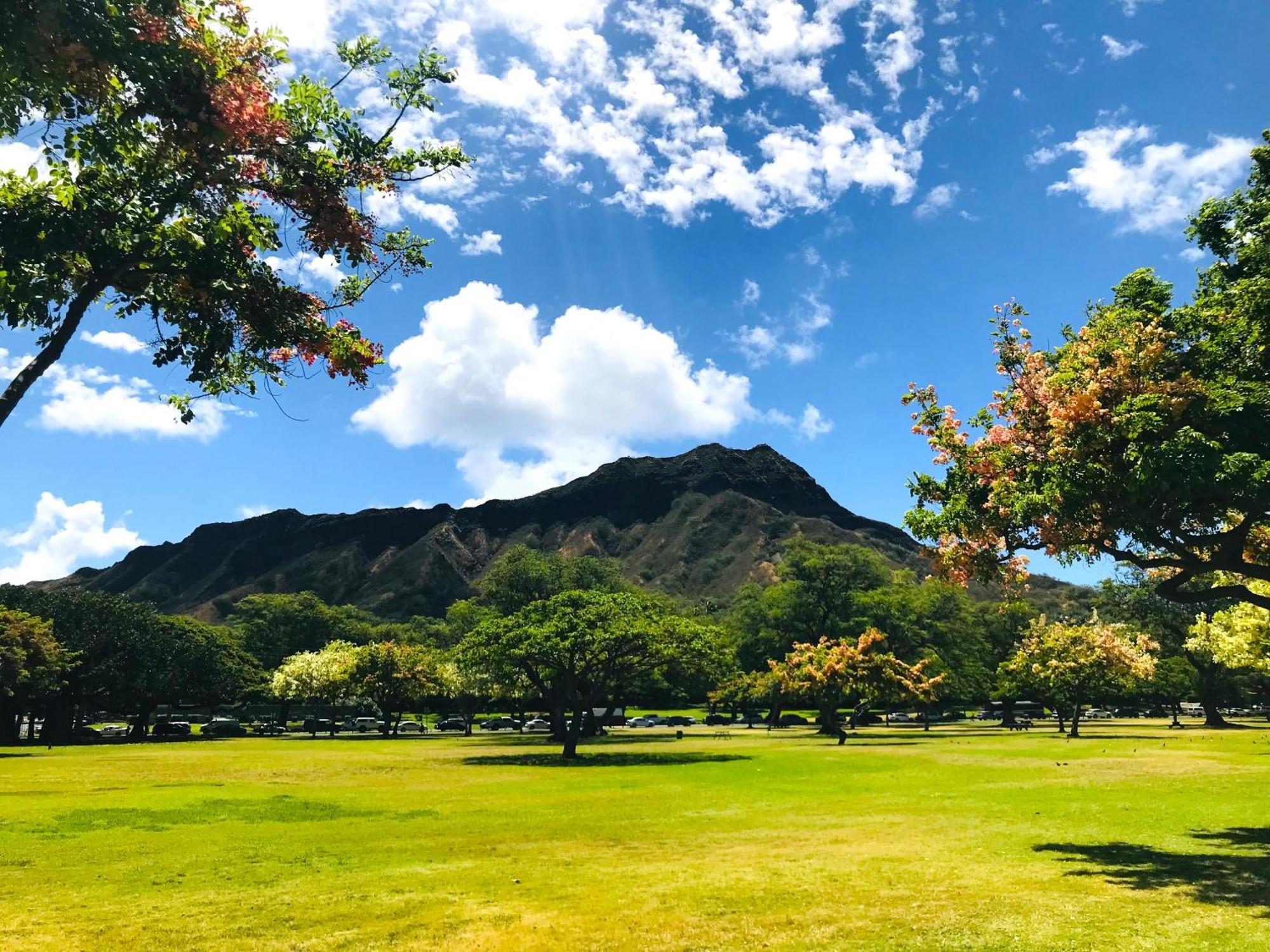 Royal Kuhio 1606 - Spacious Studio With Diamond Head City Views In The Heart Of Waikiki! Honolulu Exteriér fotografie