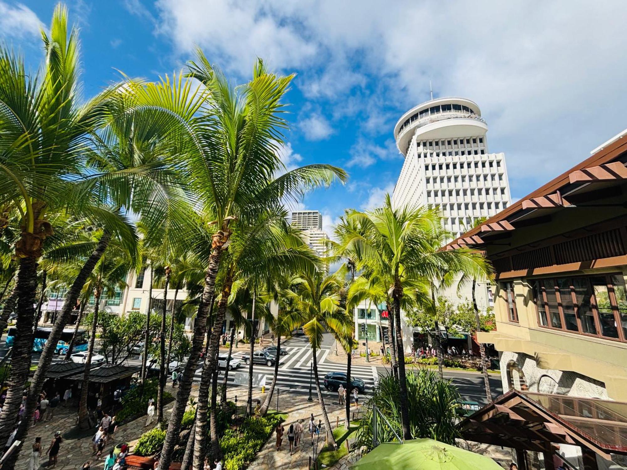 Royal Kuhio 1606 - Spacious Studio With Diamond Head City Views In The Heart Of Waikiki! Honolulu Exteriér fotografie